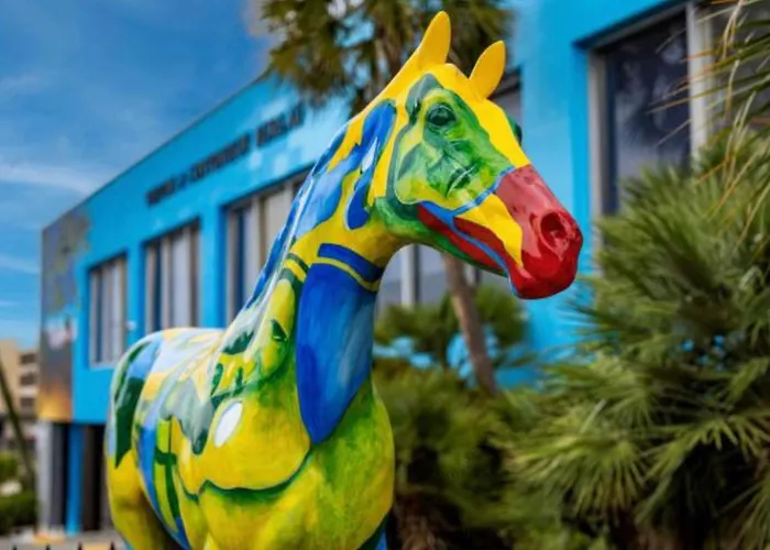 Cozy Stay In Ocala, King Bed, Fenced Yard, Wifi, Near Wec & Historic Downtown, Dogs Ok